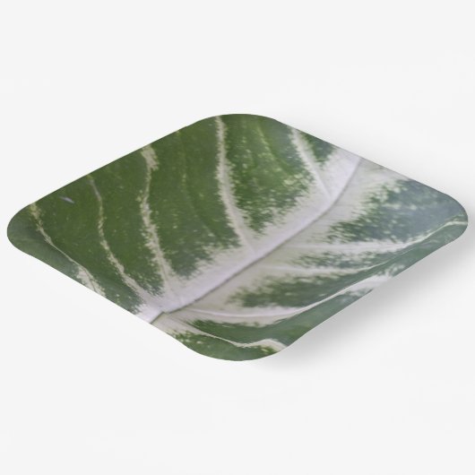 9 Inch Elegant Green Leaf Design Pappteller (Gewinkelt)