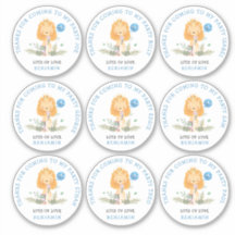 9 Individuelle Namen Blue Danke Lion