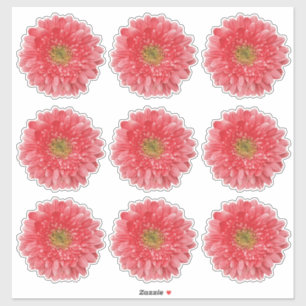 9 Korallen-Gerbera-Margerite-Blumen-Kiss-Cut-Aufkl Aufkleber