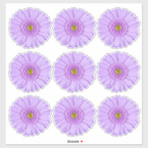 9 Lila Gerber Daisy Blume Kiss-Cut Stickers Aufkleber
