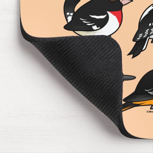 9 Nordost-USA-Hinterhof-Vögel Mousepad (Ecke)