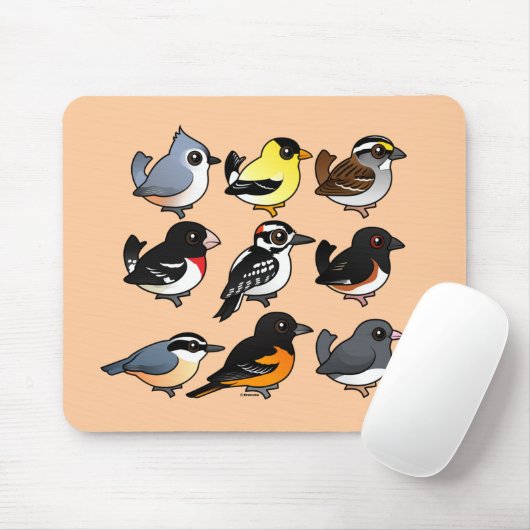 9 Nordost-USA-Hinterhof-Vögel Mousepad (Mit Mouse)