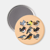 9 Nordost-USA-Hinterhofvögel Magnet (Vorderseite/Rückseite)
