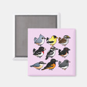 9 Nordost-USA-Hinterhofvögel Magnet (Vorderseite/Rückseite)