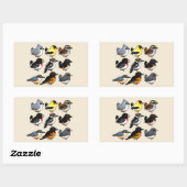 9 Nordost-USA-Hinterhofvögel Rechteckiger Aufkleber (Blatt)