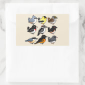 9 Nordost-USA-Hinterhofvögel Rechteckiger Aufkleber (Tasche)