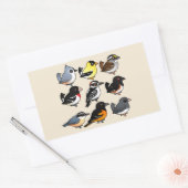 9 Nordost-USA-Hinterhofvögel Rechteckiger Aufkleber (Umschlag)