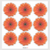 9 Orange Gerbera Daisy Blume Kiss-Cut Stickers Aufkleber (Blatt)