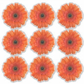 9 Orange Gerbera Daisy Blume Kiss-Cut Stickers Aufkleber (Vorderseite)