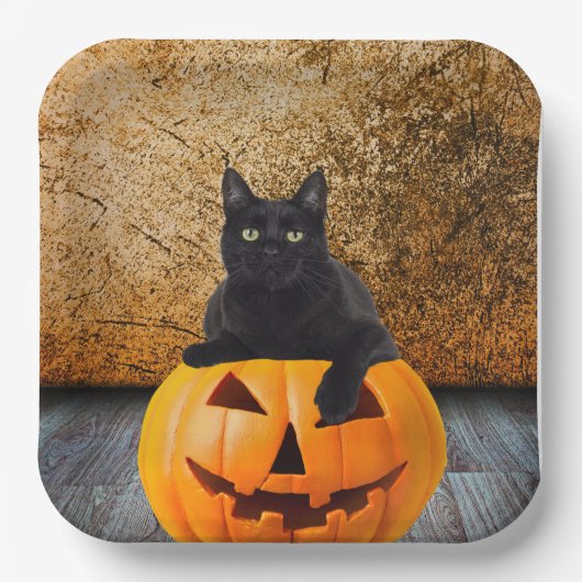 9" Papier Teller, Halloween Black Cat On Pumpkin Pappteller (Vorderseite)