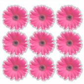 9 Pink Gerbera Daisy Blume Kiss-Cut Stickers Aufkleber (Vorderseite)