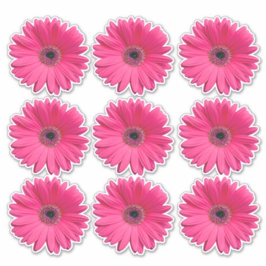 9 Pink Gerbera Daisy Blume Kiss-Cut Stickers Aufkleber (Vorderseite)