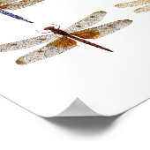 9 Poster für Libellen (Ecke)