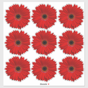 9 Red Gerber Daisy Blume Kiss-Cut Stickers Aufkleber