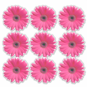 9 rosa Gerbera-Sticker Aufkleber