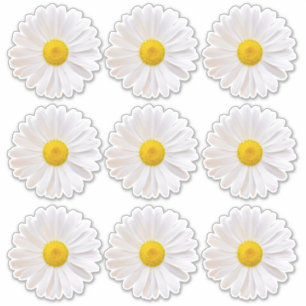 9 Shasta-Margeriten-Blumen-Kiss-Cut-Aufkleber Aufkleber