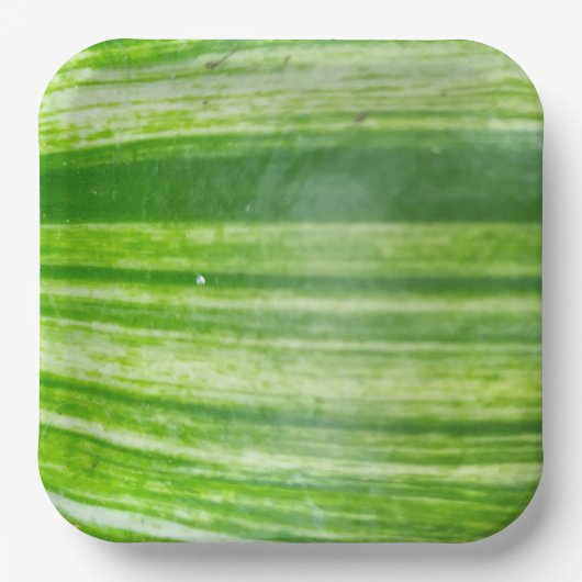 9 Zoll Naturleaf Design für elegantes Essen Pappteller (Vorderseite)