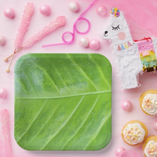 9-Zoll-Papiertafel mit bezauberndem Grün Pappteller (Party)