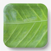 9-Zoll-Papiertafel mit bezauberndem Grün Pappteller (Vorderseite)