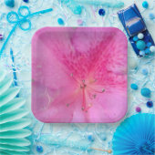 9 Zoll Platz Pappteller (Party)