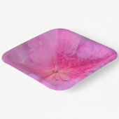 9 Zoll Platz Pappteller (Gewinkelt)