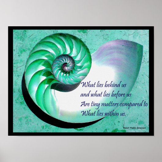 A01 Nautilus Muschel Poster mit inspirierendem Zit (Vorne)