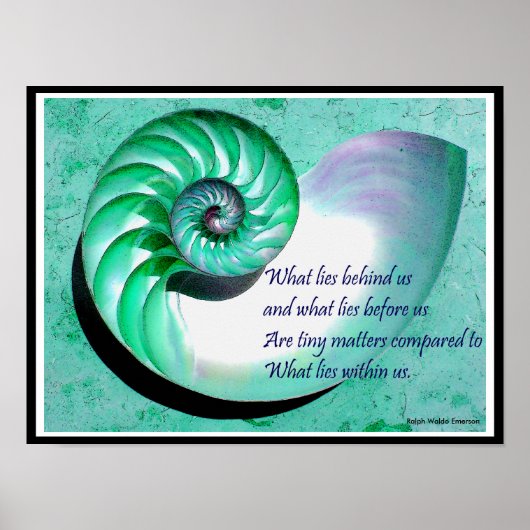 A01b Nautilus Muschel Poster - Inspiration Zitat (Vorne)