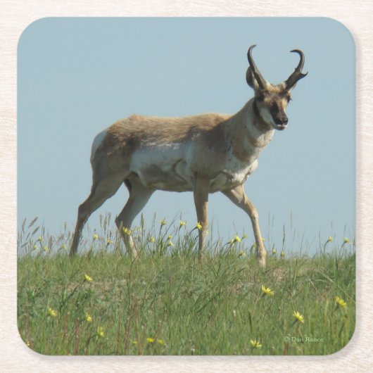 A10 Gabelbock Bock Rechteckiger Pappuntersetzer (Vorderseite)