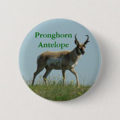 A10 Pronghorn Antelope Button (Vorderseite)