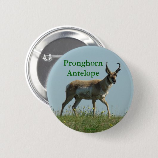 A10 Pronghorn Antelope Button (Vorne & Hinten)