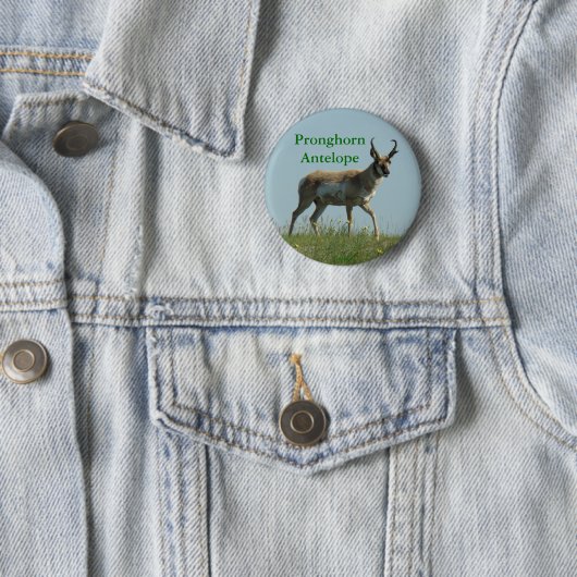 A10 Pronghorn Antelope Button (Beispiel)