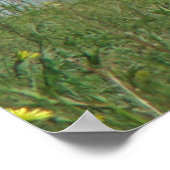 A10 Pronghorn Antelope und Wildblumen Poster (Ecke)