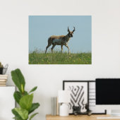 A10 Pronghorn Antelope und Wildblumen Poster (Heimbüro)