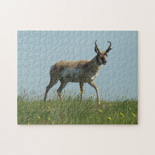 A10 Pronghorn Antelope Walking Drei Wildblumen Puzzle (Horizontal)
