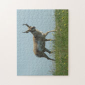 A10 Pronghorn Antelope Walking Drei Wildblumen Puzzle (Vertikal)