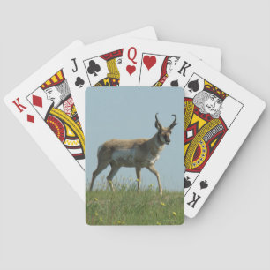 A10 Pronghorn Antelope Walking Drei Wildblumen Spielkarten