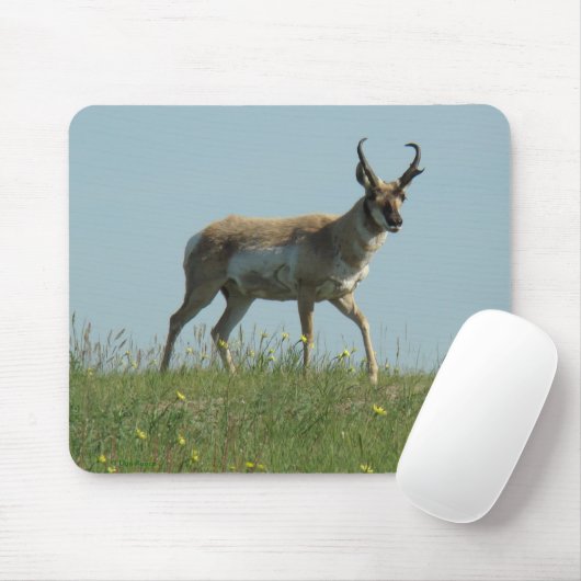 A10 Pronghorn Antilope und Wildblumen Mousepad (Mit Mouse)