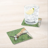 A11 Pronghorn Antelope Buck Grazing Rechteckiger Pappuntersetzer (Vor Ort)