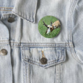 A11 Pronghorn Antelope Button (Beispiel)