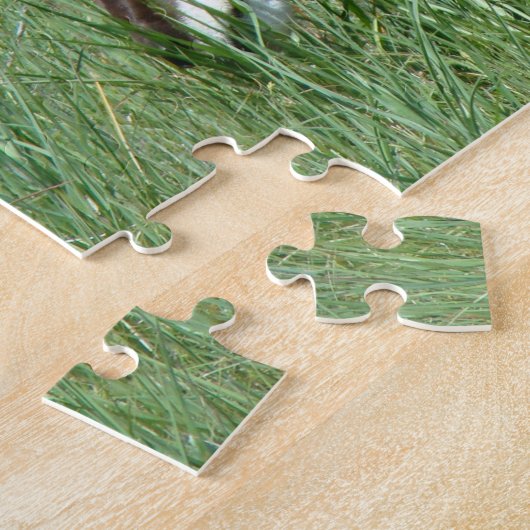 A11 Pronghorn Antelope Grazing Puzzle (Seite)