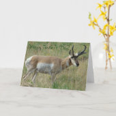 A12 Pronghorn Antelope Buck Karte (Gelbe Blume)