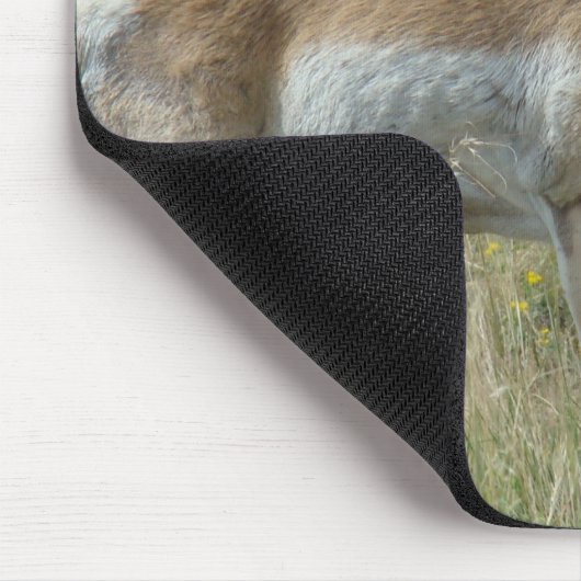 A12 Pronghorn Antelope Buck Mousepad (Ecke)