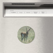 A13 Gabelbock Großer Bock Magnet (In Situ (Geschirrspüler))
