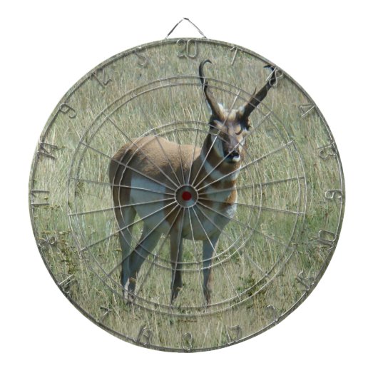 A13 Pronghorn Antelope Buck Dartscheibe (vorne)