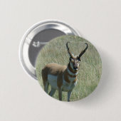 A13 Pronghorn Antelope Button (Vorne & Hinten)