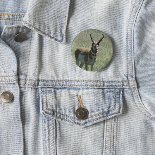A13 Pronghorn Antelope Button (Beispiel)