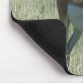 A13 Pronghorn Antilopen-Dollar Mousepad (Ecke)