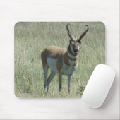 A13 Pronghorn Antilopen-Dollar Mousepad (Mit Mouse)