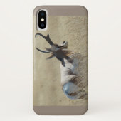 A14 Pronghorn Antelope Sunshine Buck Case-Mate iPhone Hülle (Rückseite)