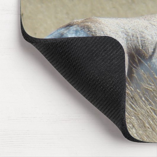 A14 Pronghorn Antelope Sunshine Buck Mousepad (Ecke)